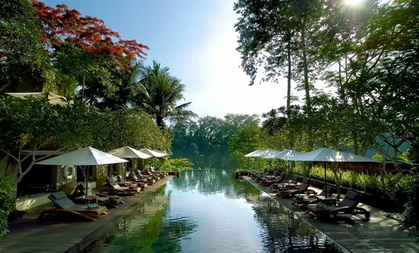 Infinity Forest Pool